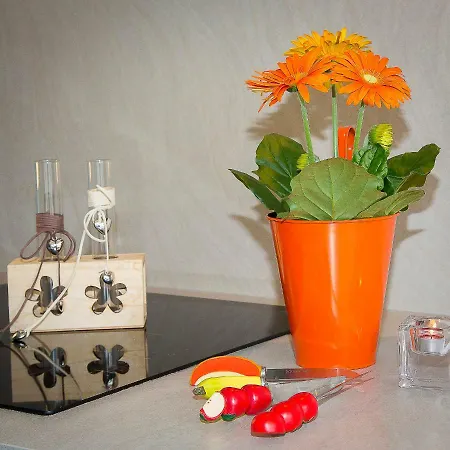 En Attique - Le Ronsard Lejlighed Sélestat